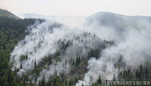 Лес горит в районе Слюдянки в Иркутской области